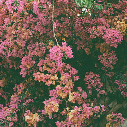 Monoko x Inkko - "Making U" Monoko x Inkko - "Making U"